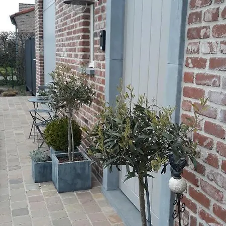 B&B Valant
